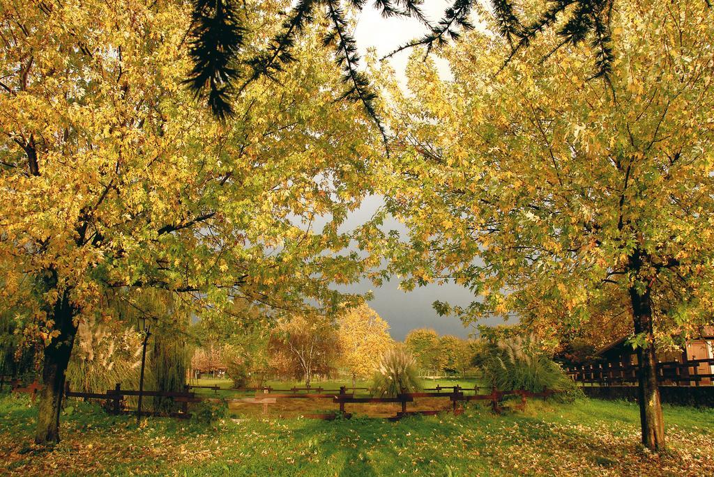 Agriturismo Monte Due Torri Genzano di Roma Buitenkant foto